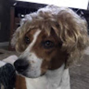 Meet your Posher, Addison